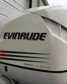 Evinrude E175DPXABG | 175hp | 2016